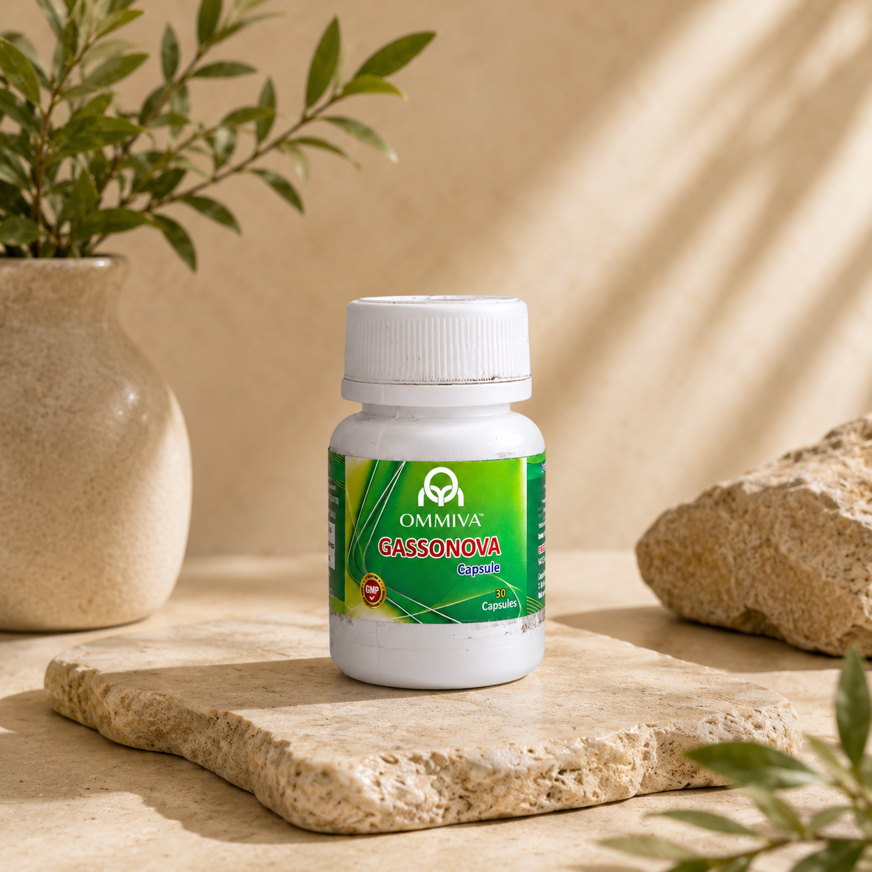 Ommiva Gassonova Capsule